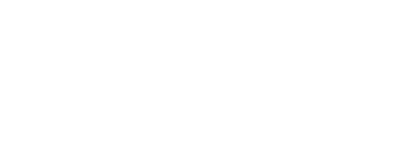 Schwarz Management Consulting